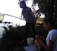 Вивчаємо харчову базу водоплавних птахів